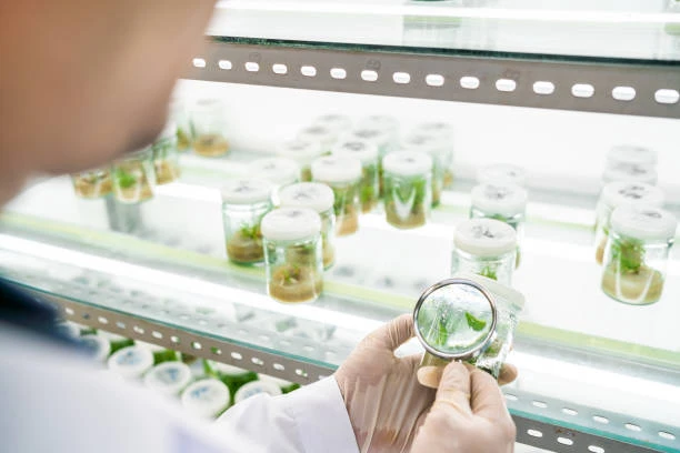 lab agrícola.webp